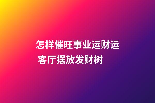 怎样催旺事业运财运 客厅摆放发财树